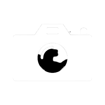 'KVN Top Model', 'kvntopmodel', 'Nel-Kevin', 'Nel-Kevin Junior Dubois', 'Kevin Dubois', 'Nel-Kevin Junior', 'Kevin Junior Dubois', 'Peel Fashion Show', 'Montreal Fashion Week', 'Montreal Fashion', 'Fashion Show', 'Defile de mode', 'Male Fashion Montreal'